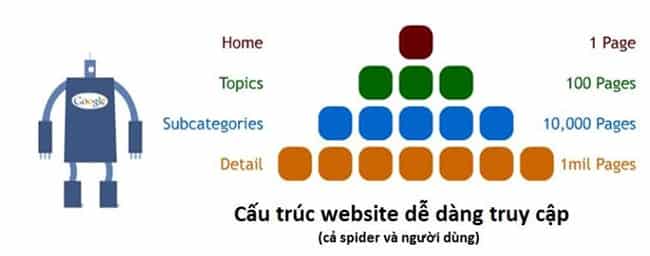 Cấu trúc của website bao gồm những gì?