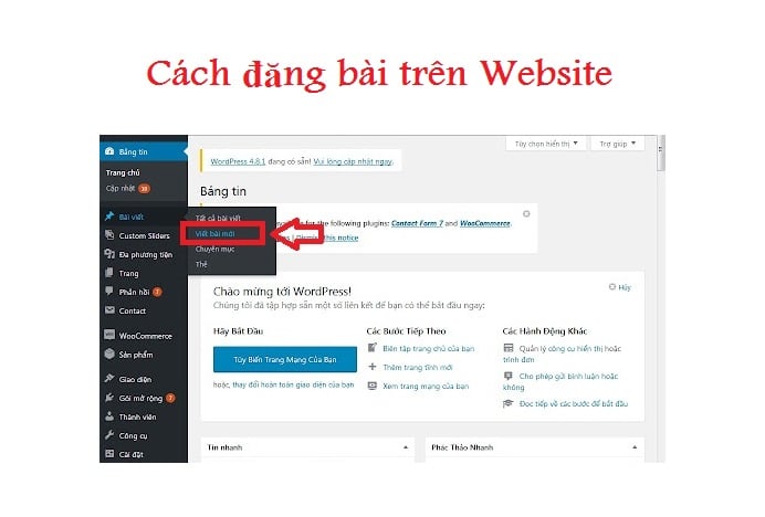 cách đăng bài trên Website