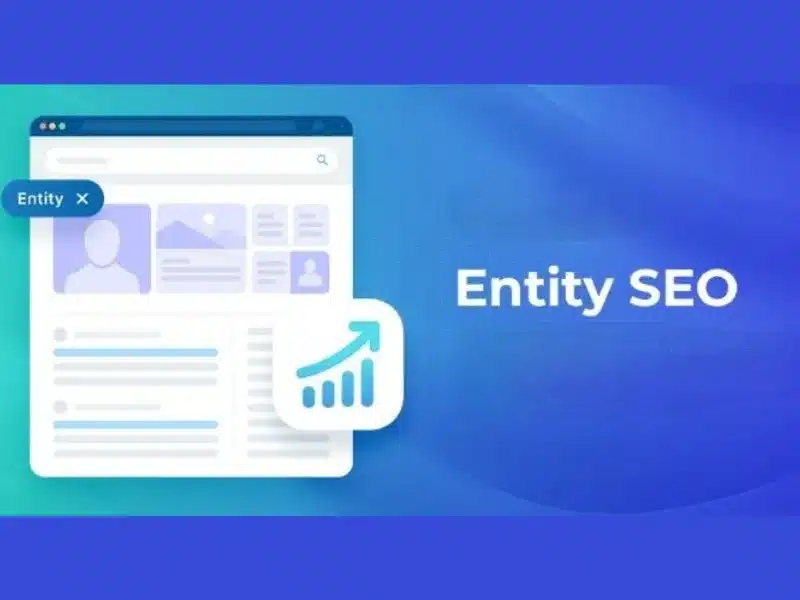 cách sử dụng seo entity